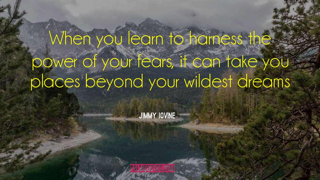 Jimmy Iovine Quotes: When you learn to harness