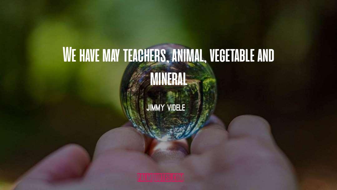 Jimmy Videle Quotes: We have may teachers, animal,