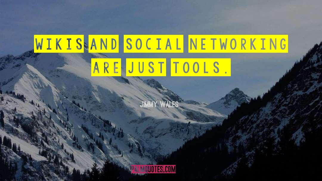 Jimmy Wales Quotes: Wikis and social networking are