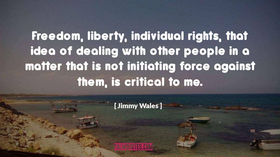 Jimmy Wales Quotes: Freedom, liberty, individual rights, that