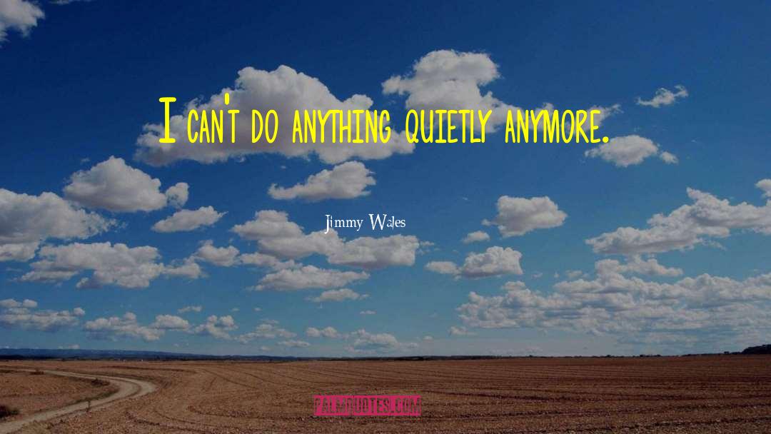 Jimmy Wales Quotes: I can't do anything quietly