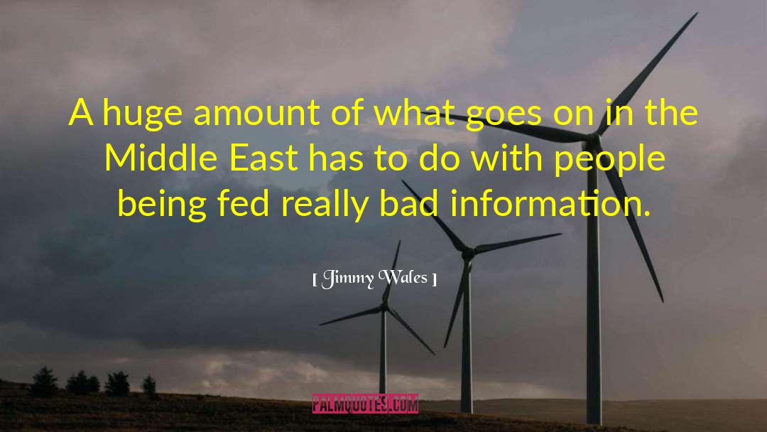 Jimmy Wales Quotes: A huge amount of what