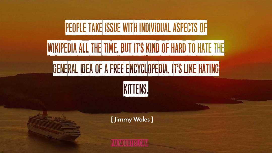 Jimmy Wales Quotes: People take issue with individual
