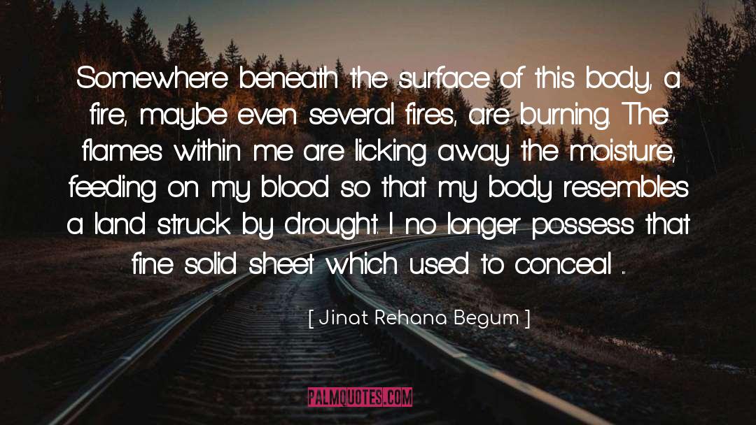 Jinat Rehana Begum Quotes: Somewhere beneath the surface of