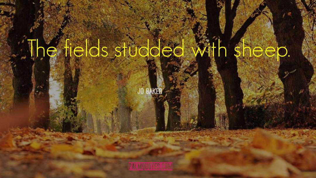 Jo Baker Quotes: The fields studded with sheep.