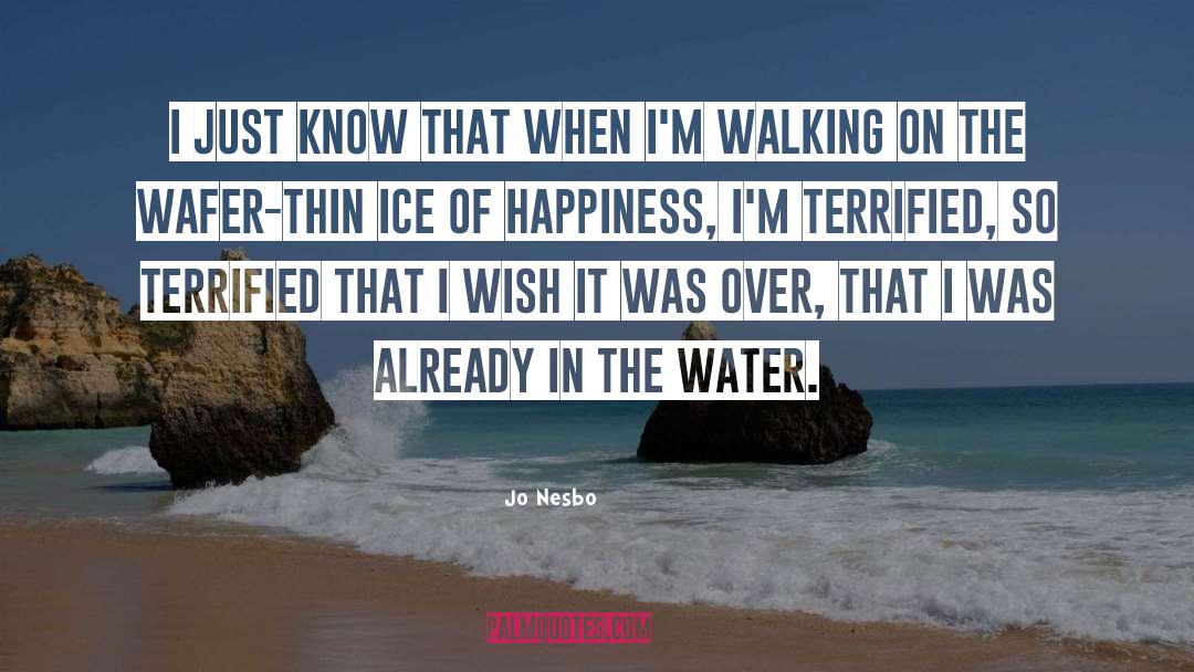 Jo Nesbo Quotes: I just know that when