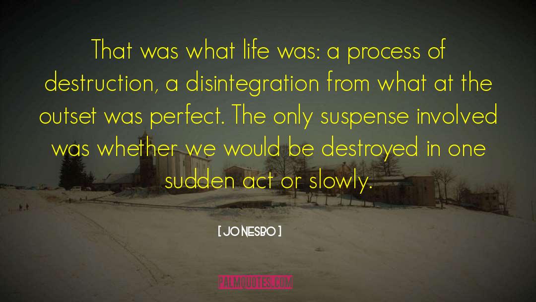Jo Nesbo Quotes: That was what life was: