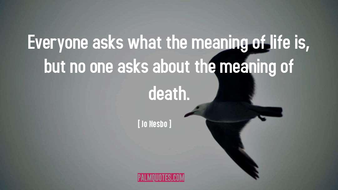 Jo Nesbo Quotes: Everyone asks what the meaning