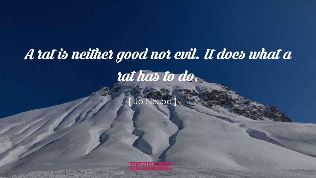 Jo Nesbo Quotes: A rat is neither good