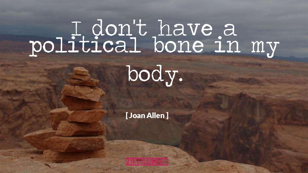 Joan Allen Quotes: I don't have a political