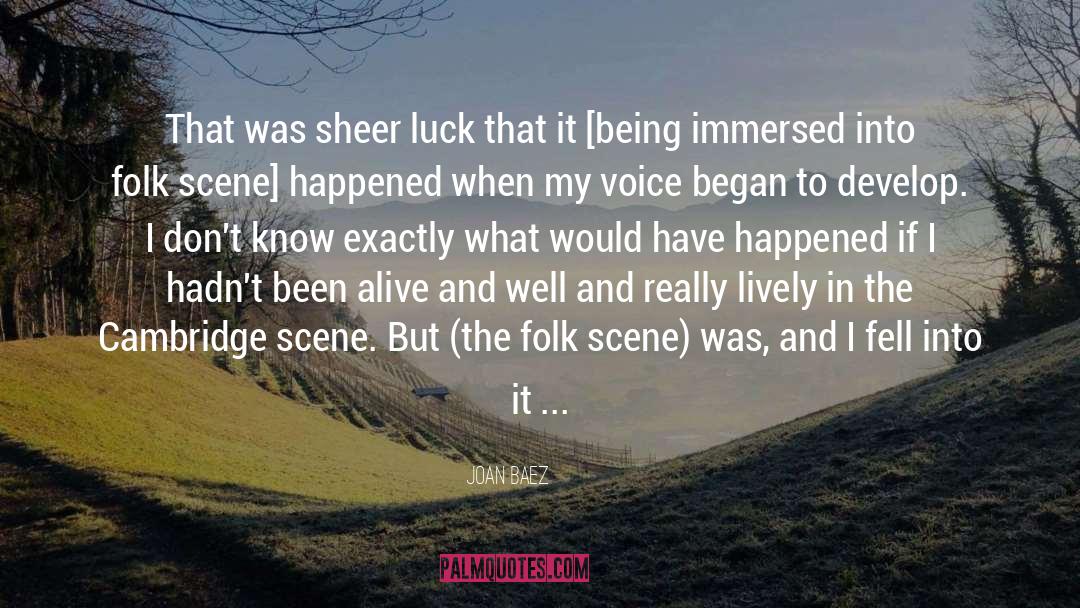 Joan Baez Quotes: That was sheer luck that