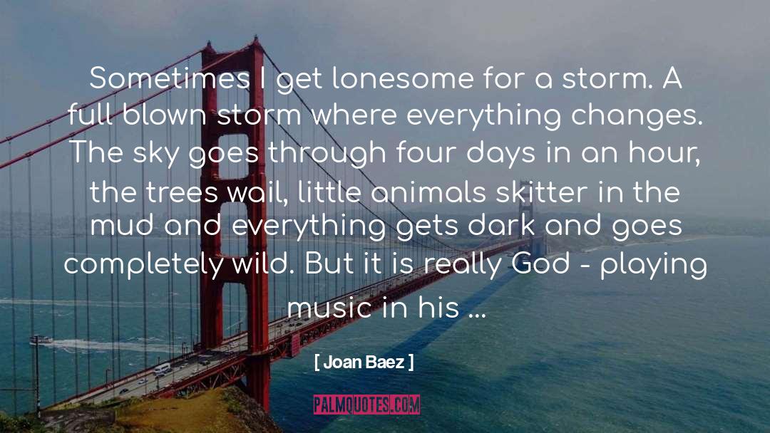 Joan Baez Quotes: Sometimes I get lonesome for