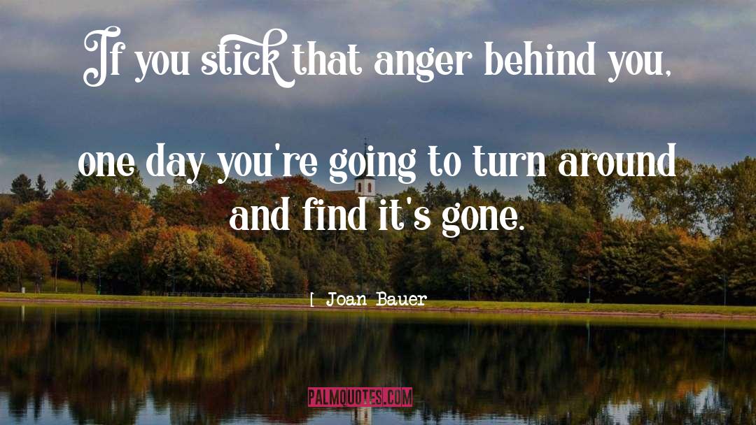 Joan Bauer Quotes: If you stick that anger