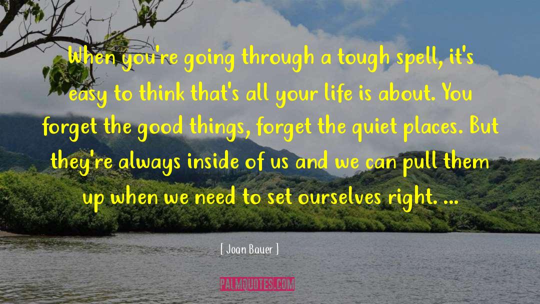 Joan Bauer Quotes: When you're going through a