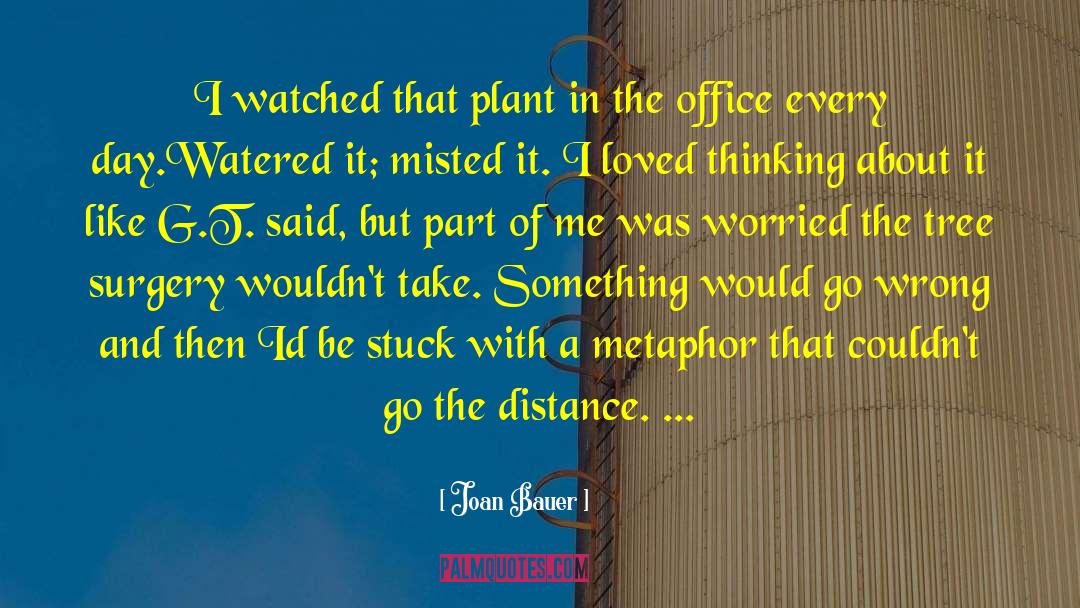 Joan Bauer Quotes: I watched that plant in