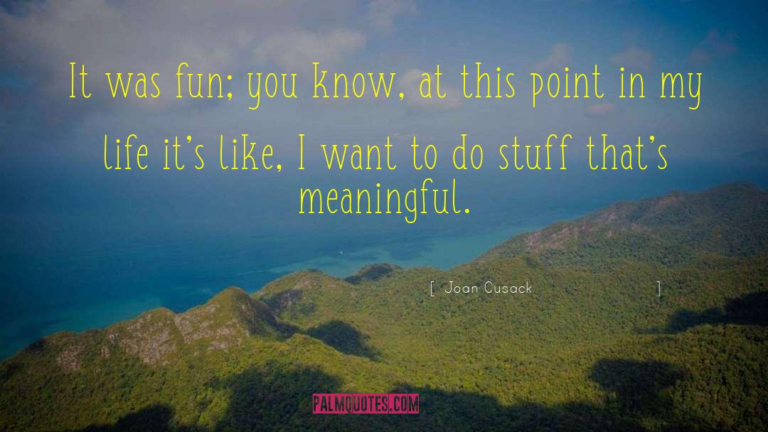 Joan Cusack Quotes: It was fun; you know,