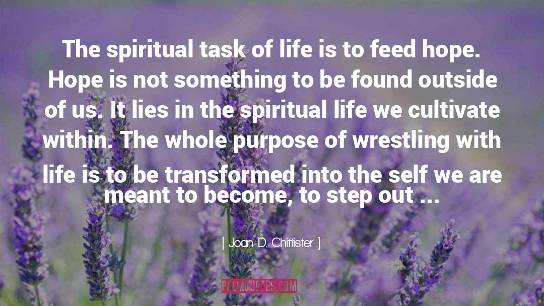 Joan D. Chittister Quotes: The spiritual task of life