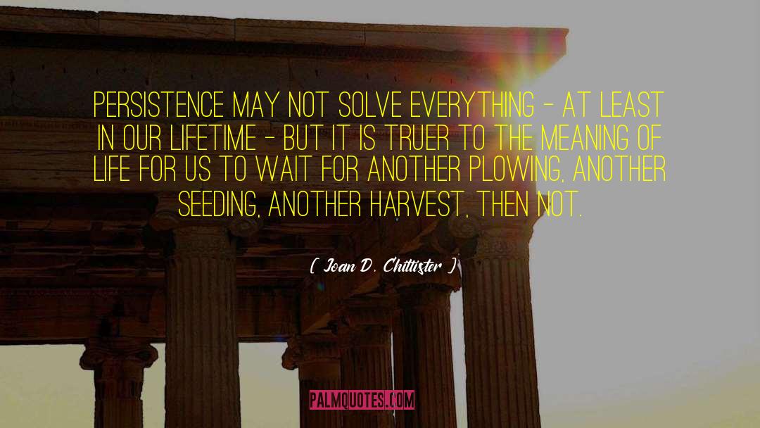 Joan D. Chittister Quotes: Persistence may not solve everything