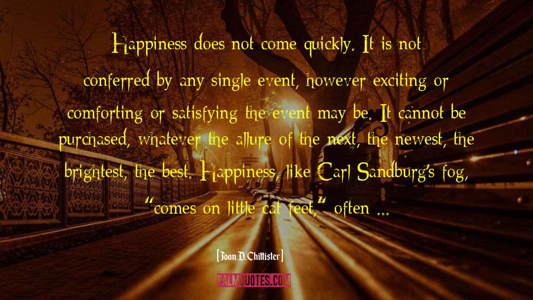 Joan D. Chittister Quotes: Happiness does not come quickly.