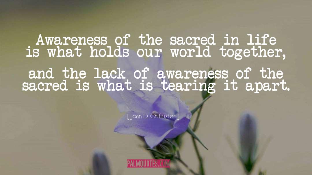 Joan D. Chittister Quotes: Awareness of the sacred in