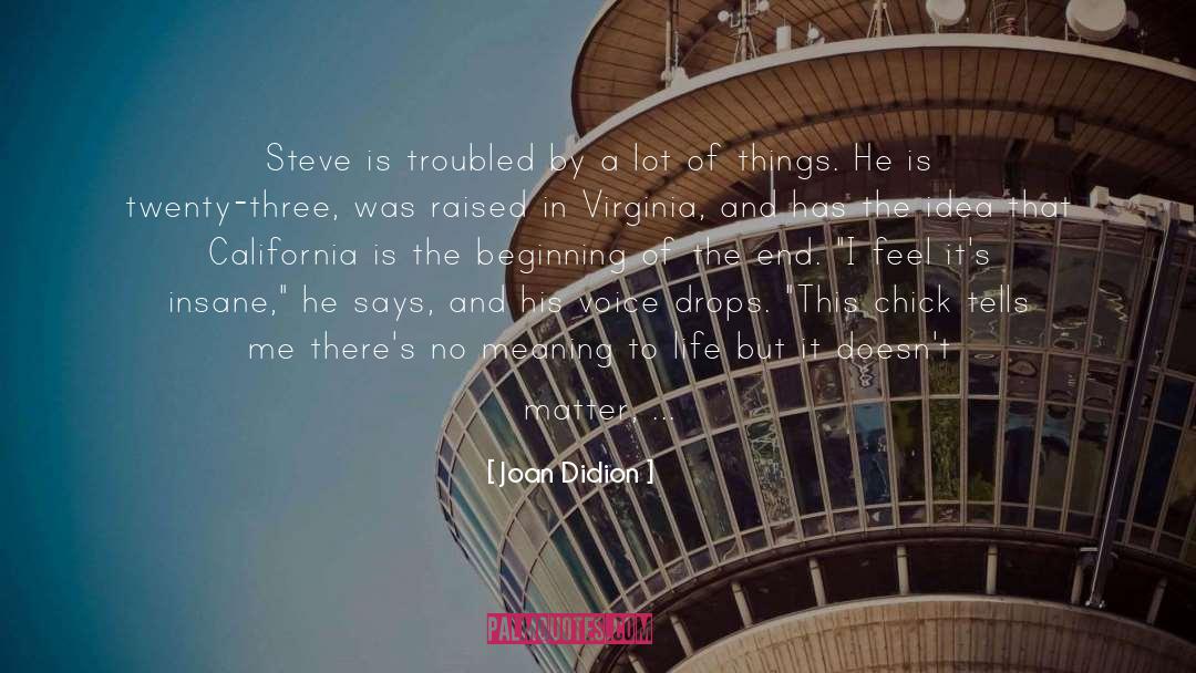 Joan Didion Quotes: Steve is troubled by a