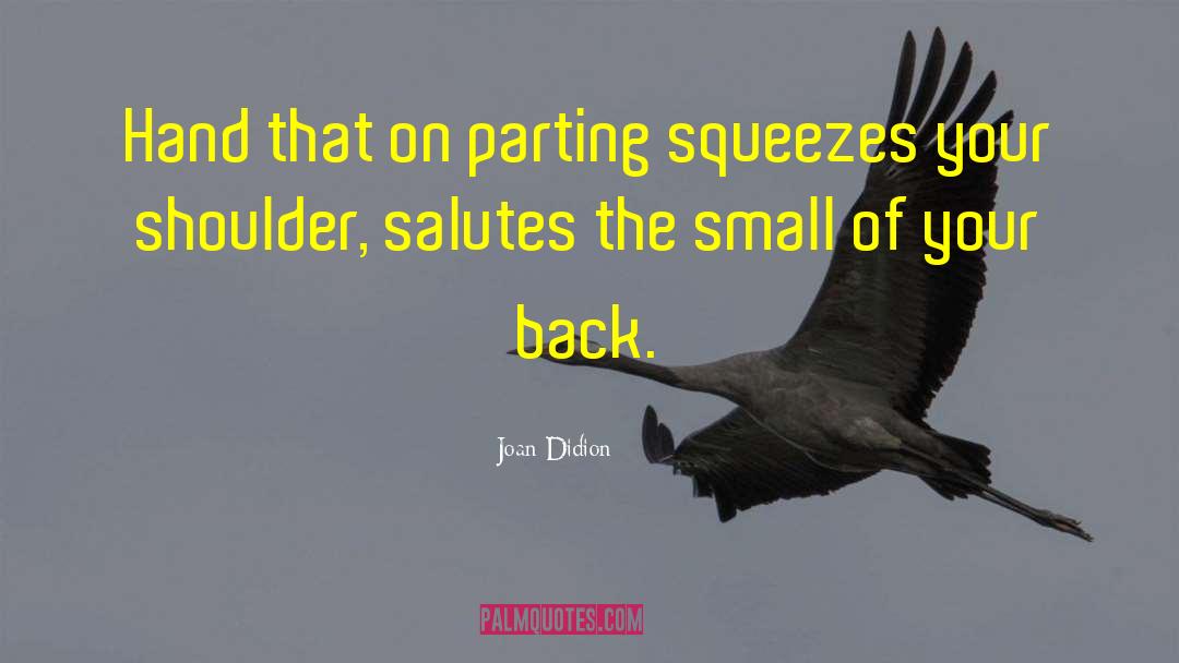Joan Didion Quotes: Hand that on parting squeezes