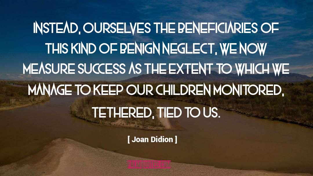 Joan Didion Quotes: Instead, ourselves the beneficiaries of