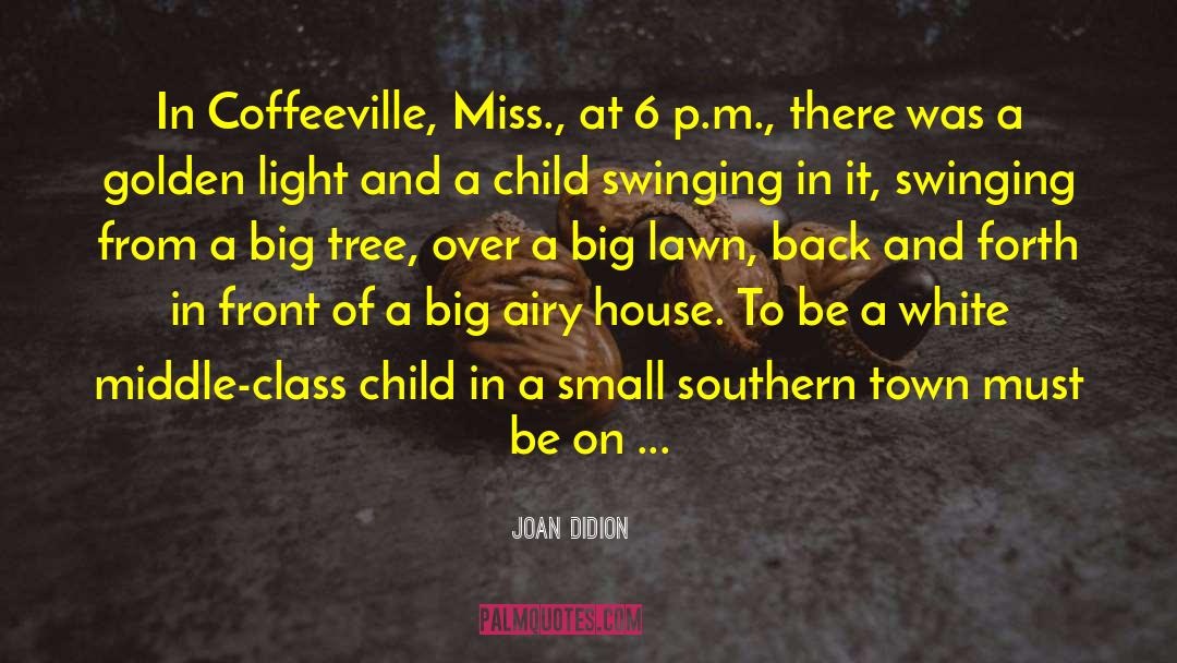 Joan Didion Quotes: In Coffeeville, Miss., at 6