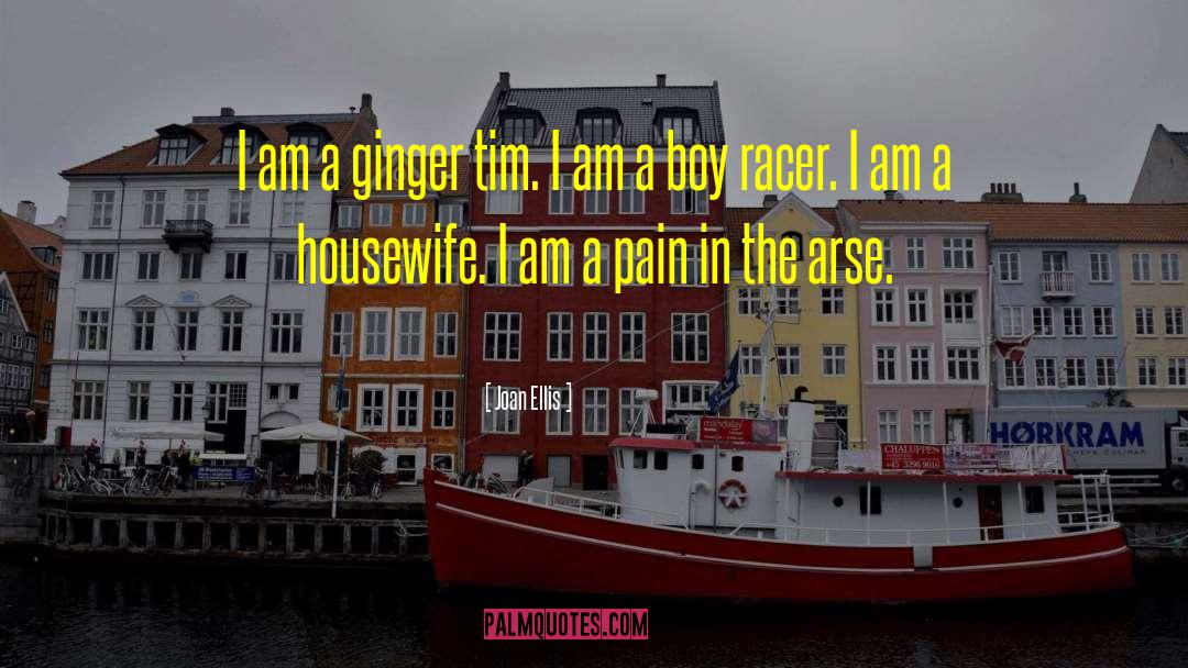 Joan Ellis Quotes: I am a ginger tim.