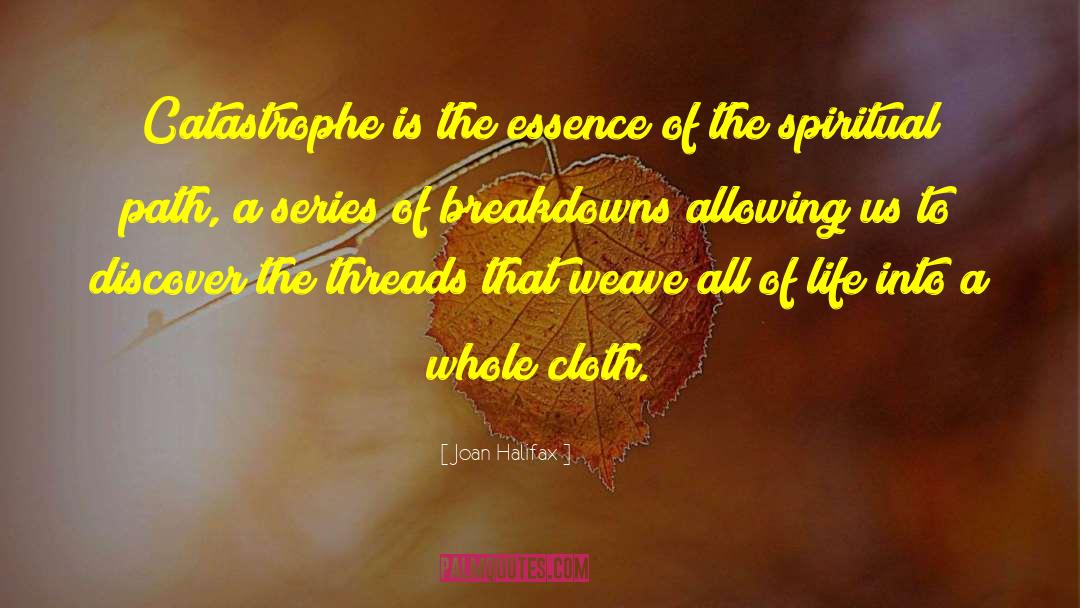Joan Halifax Quotes: Catastrophe is the essence of