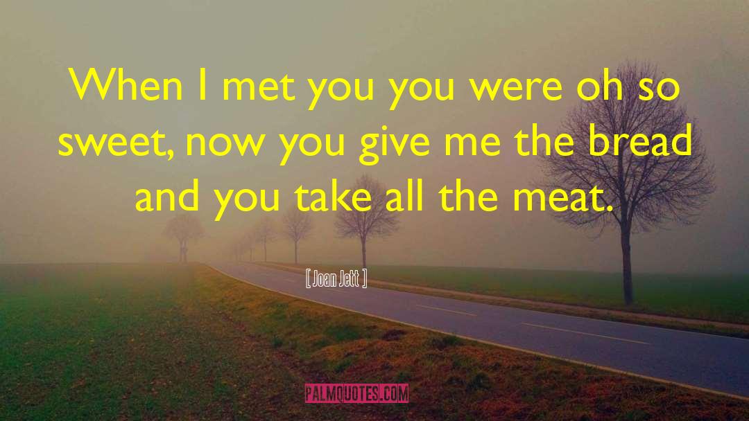 Joan Jett Quotes: When I met you you