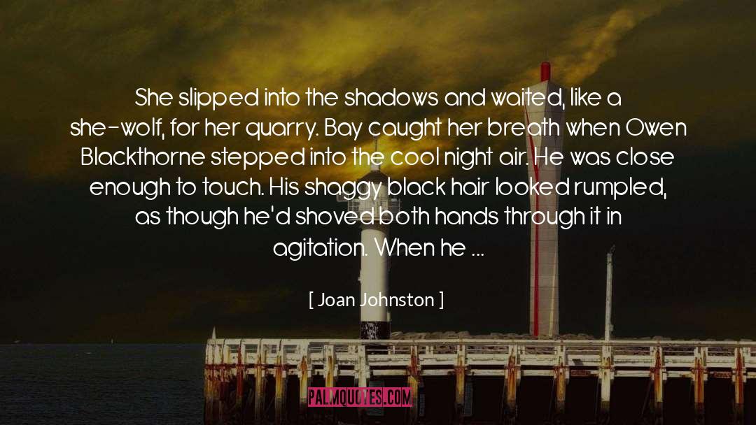 Joan Johnston Quotes: She slipped into the shadows