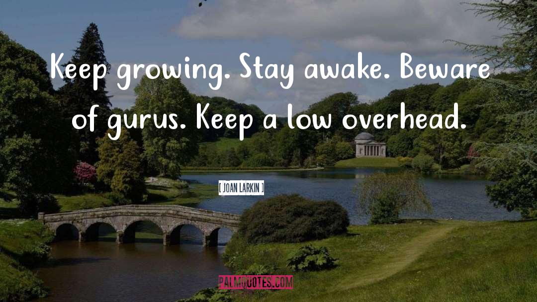 Joan Larkin Quotes: Keep growing. Stay awake. Beware