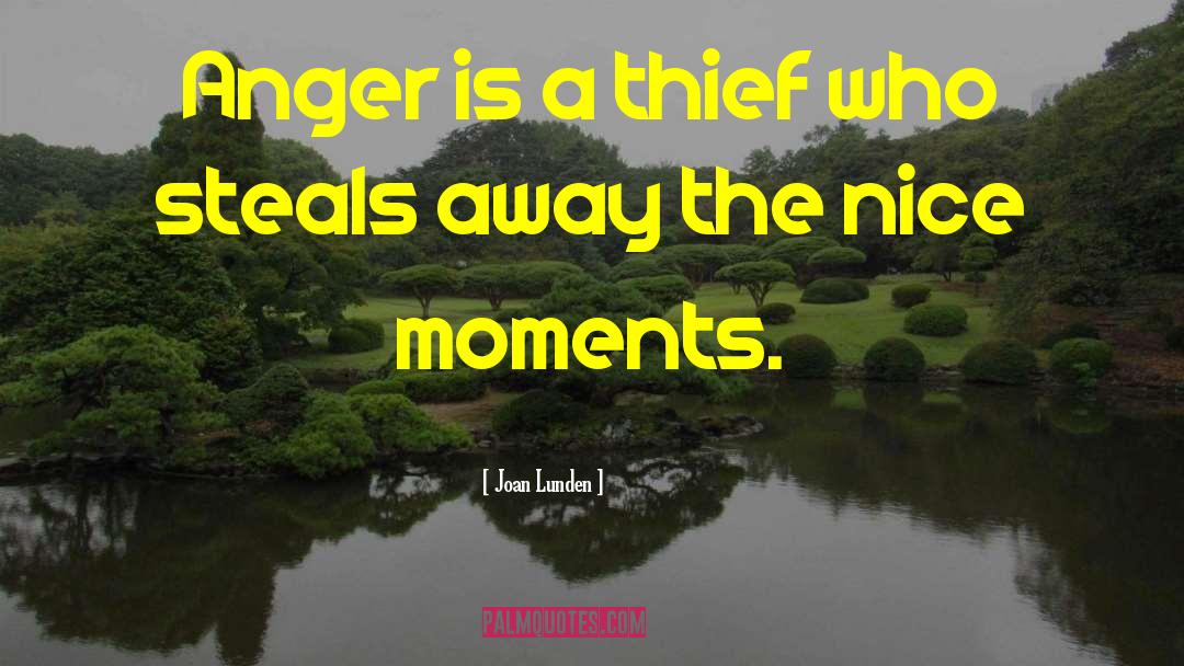 Joan Lunden Quotes: Anger is a thief who