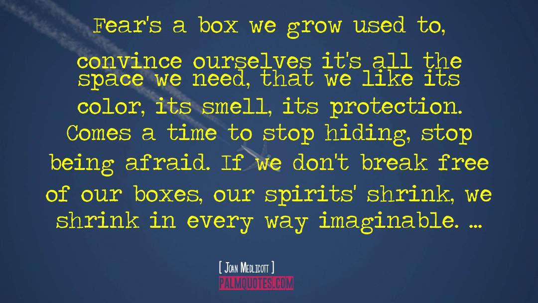 Joan Medlicott Quotes: Fear's a box we grow