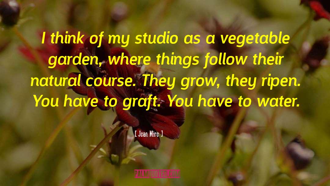 Joan Miro Quotes: I think of my studio