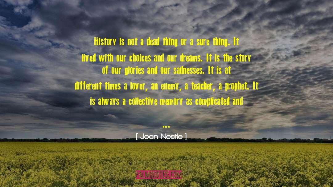 Joan Nestle Quotes: History is not a dead