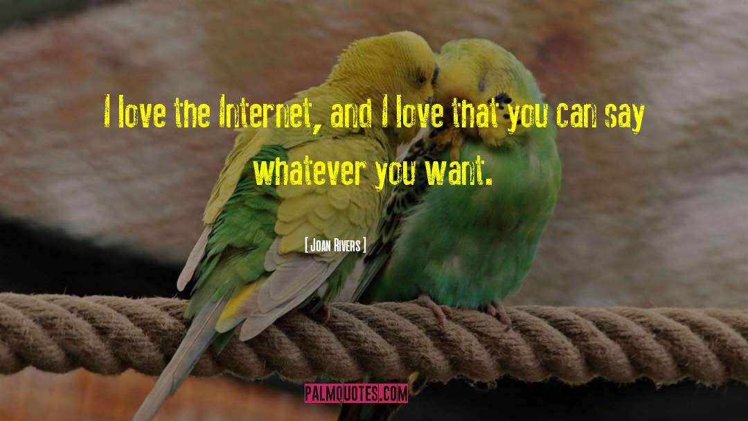 Joan Rivers Quotes: I love the Internet, and