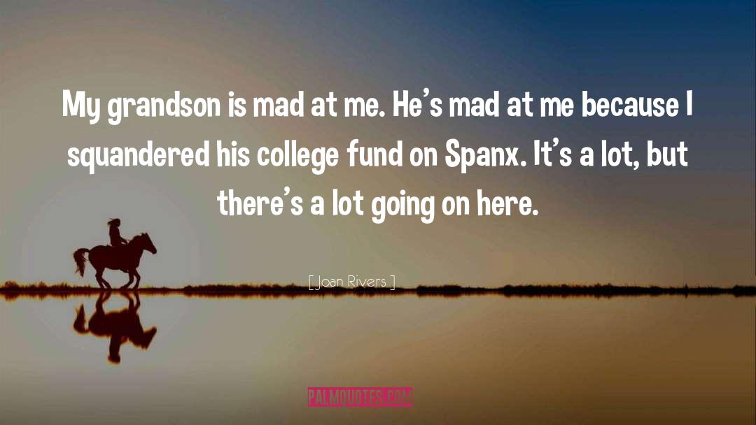 Joan Rivers Quotes: My grandson is mad at