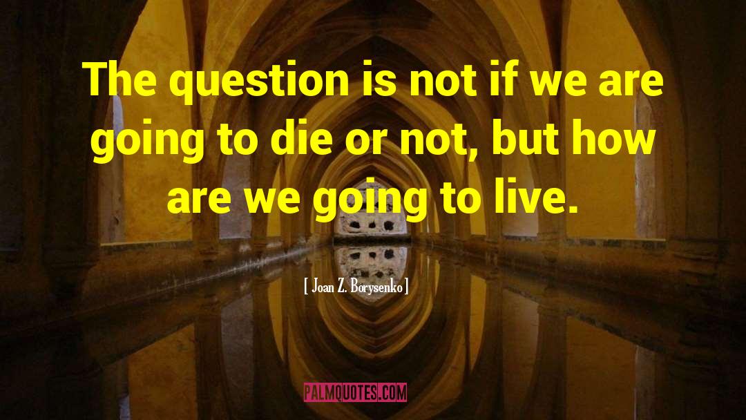 Joan Z. Borysenko Quotes: The question is not if