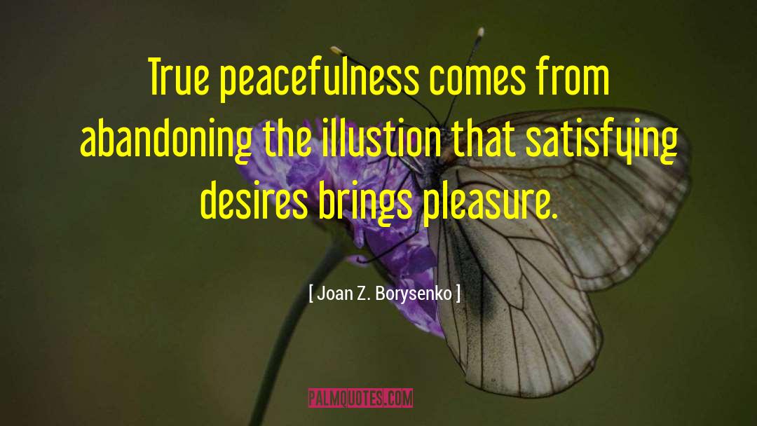 Joan Z. Borysenko Quotes: True peacefulness comes from abandoning