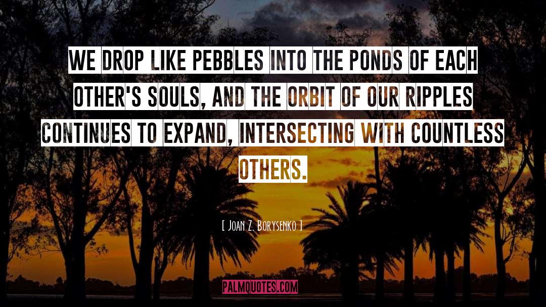 Joan Z. Borysenko Quotes: We drop like pebbles into