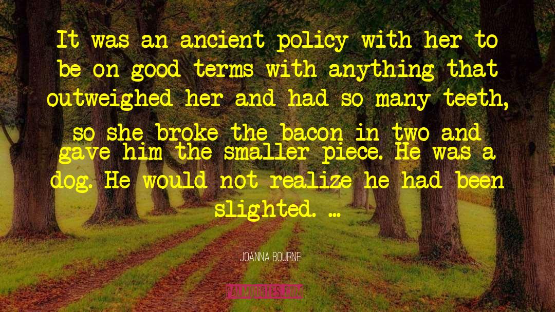 Joanna Bourne Quotes: It was an ancient policy