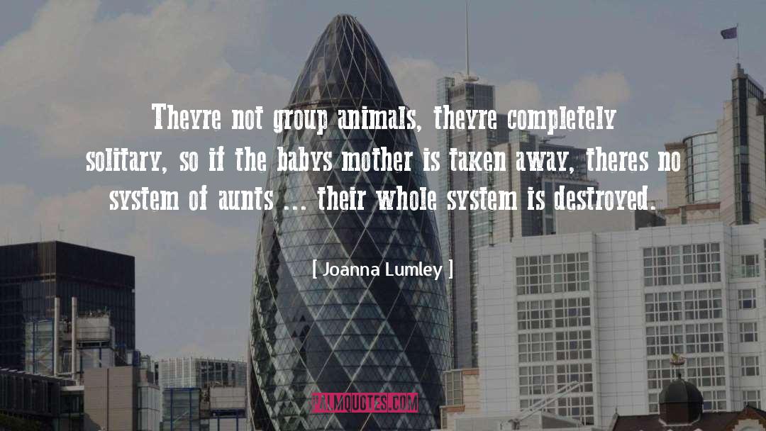 Joanna Lumley Quotes: Theyre not group animals, theyre