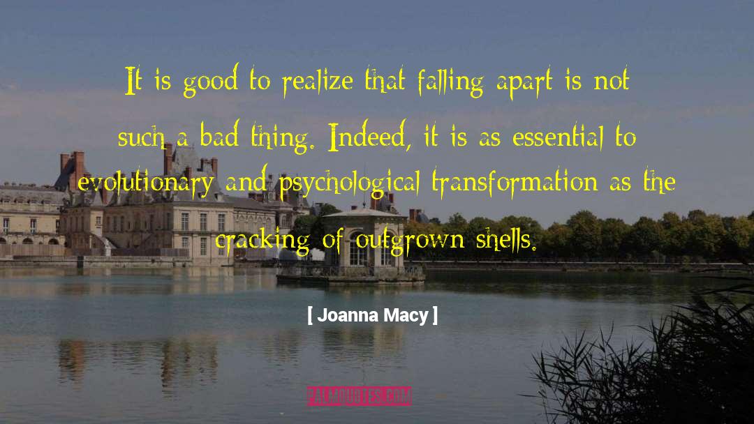 Joanna Macy Quotes: It is good to realize