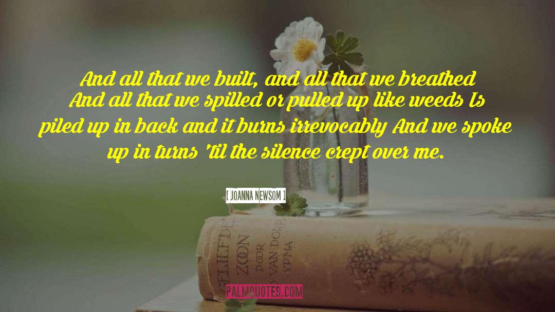 Joanna Newsom Quotes: And all that we built,