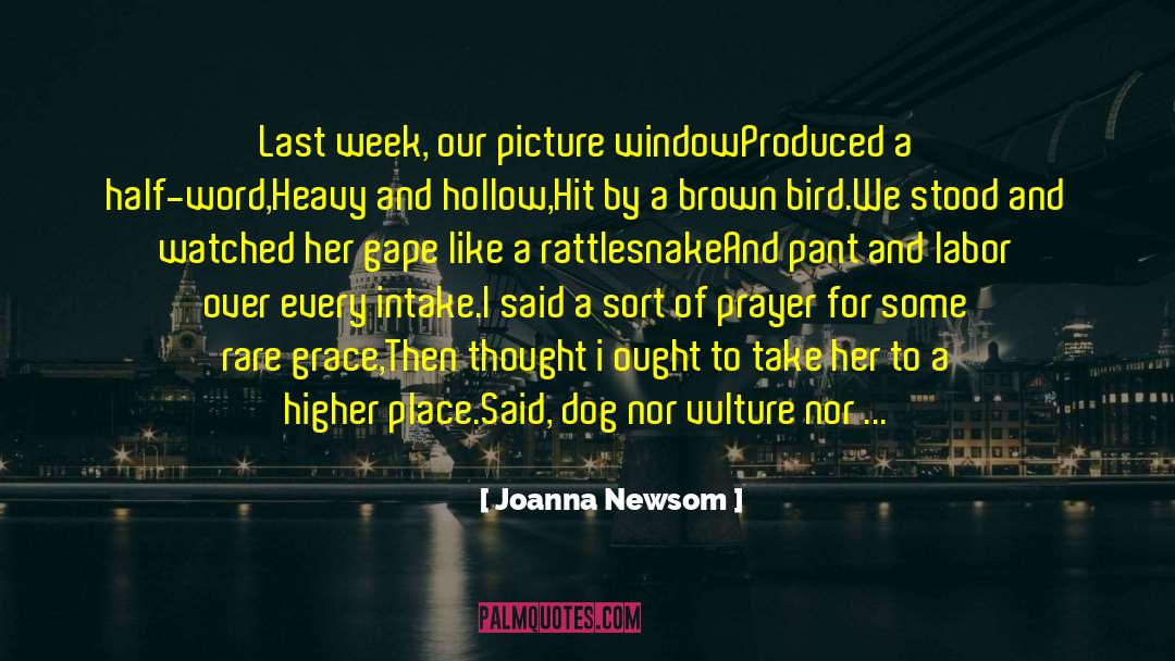Joanna Newsom Quotes: Last week, our picture window<br>Produced