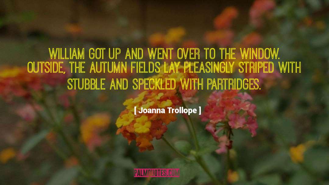 Joanna Trollope Quotes: William got up and went