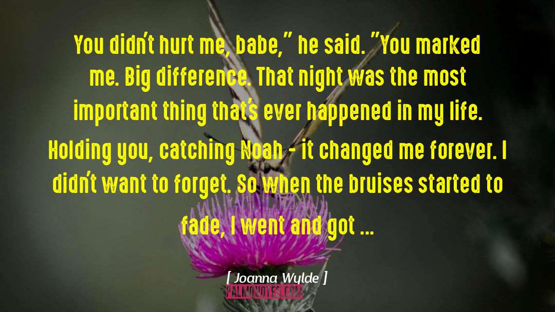 Joanna Wylde Quotes: You didn't hurt me, babe,