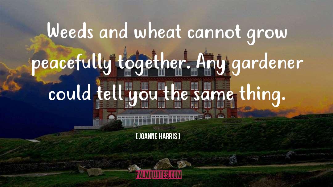 Joanne Harris Quotes: Weeds and wheat cannot grow